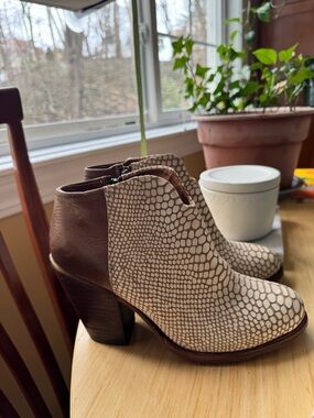 Freebird “DETROIT by Steven Two-Tone Brown and Cream Snake-Pattern Ankle Booties